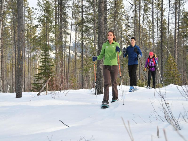 Paddle Ridge image