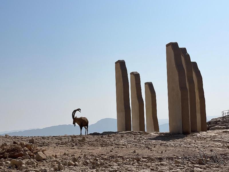 Roxon Desert Arad image
