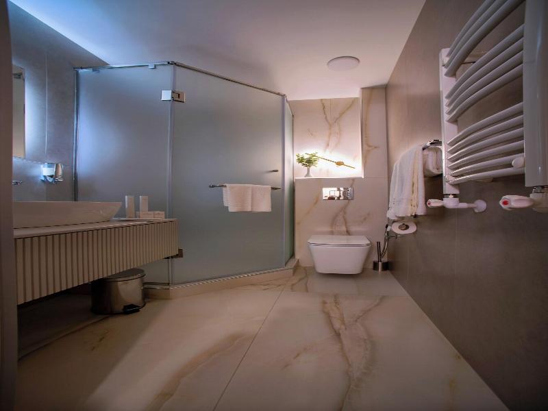 The House Hotel Yerevan image