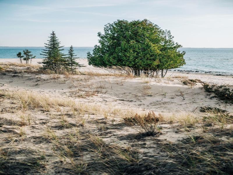 Otis Harbor Springs image