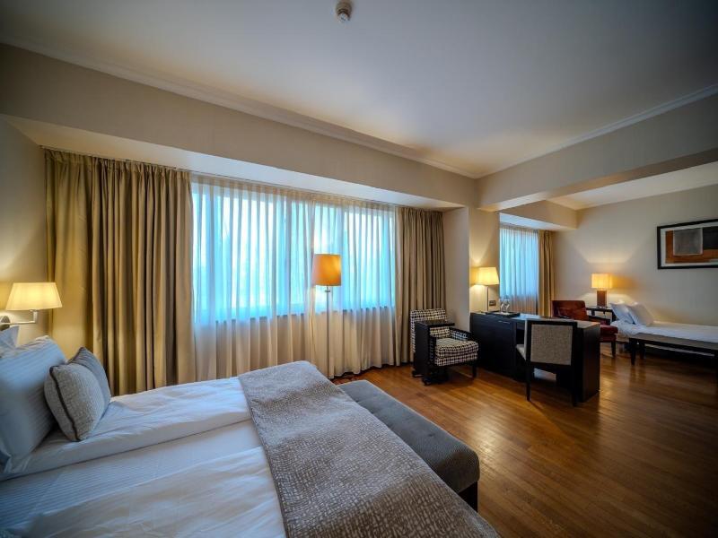 Hotel Rivo Timisoara image