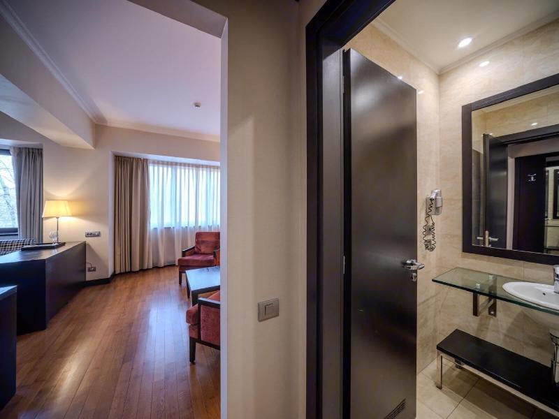 Hotel Rivo Timisoara image