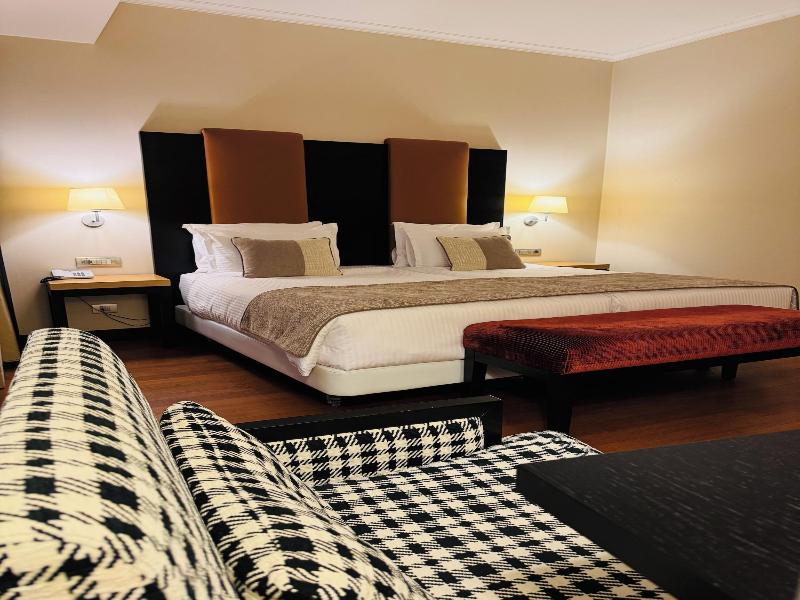 Hotel Rivo Timisoara image