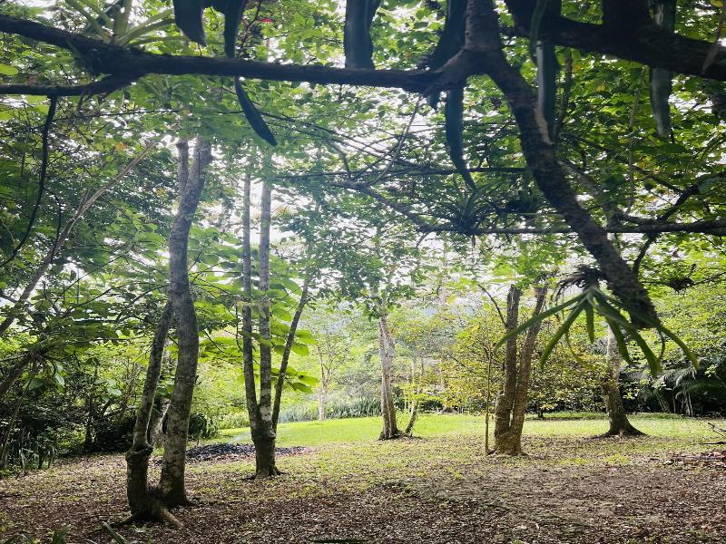 Samai Lodge Holistic Living