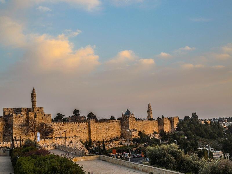 Brown Mamilla image
