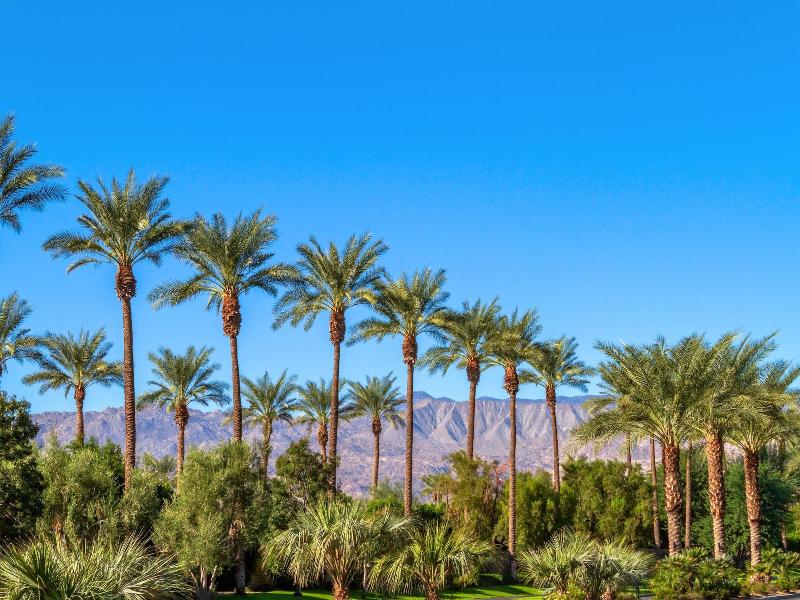 The Paloma Resort image