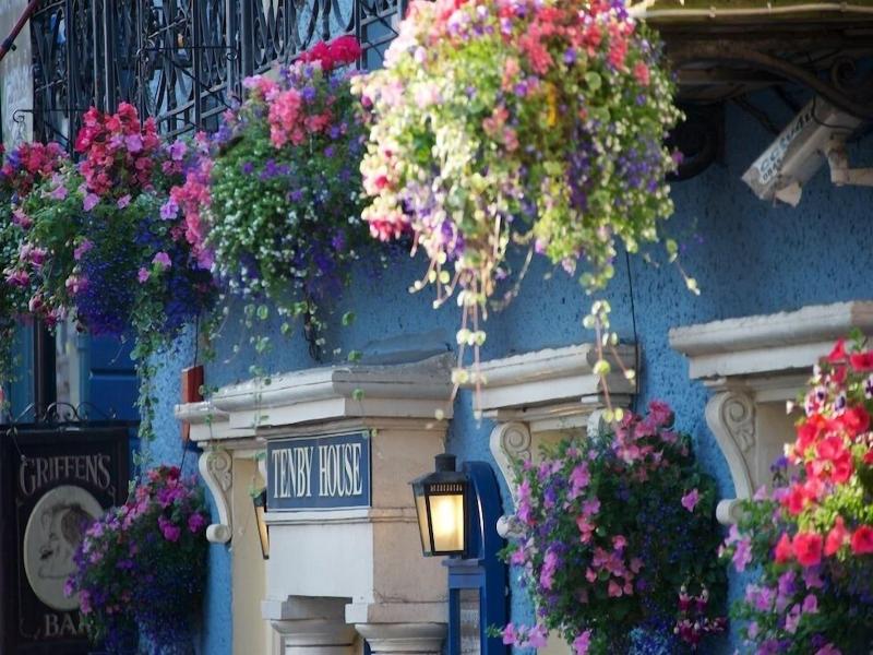 Tenby House image