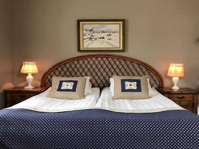 Hotell Viking image