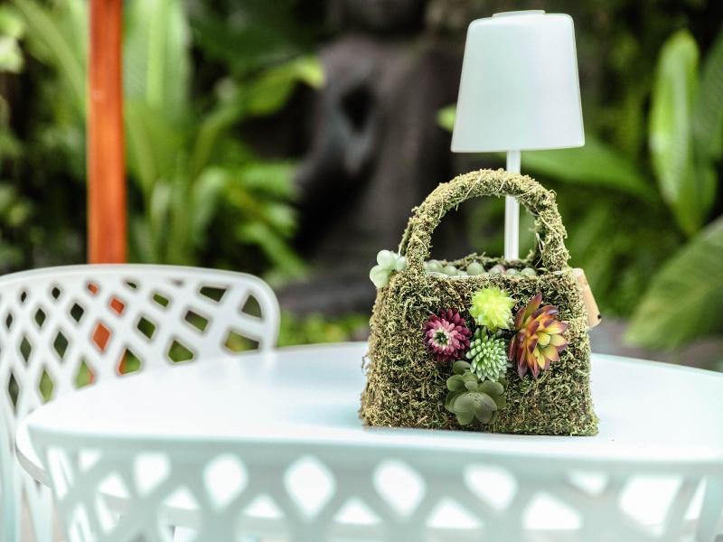 Casa Diluca Cartagena Hotel Boutique image