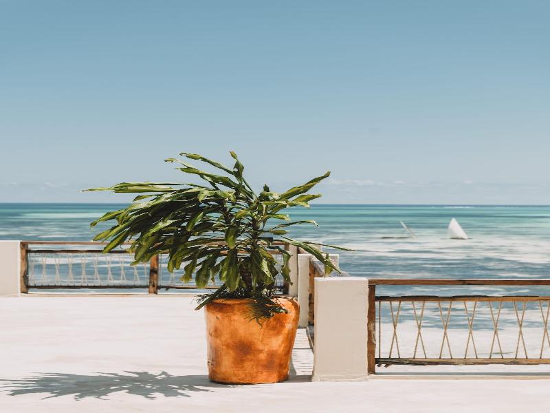 Passion Boutique Hotel Zanzibar Adults Only image