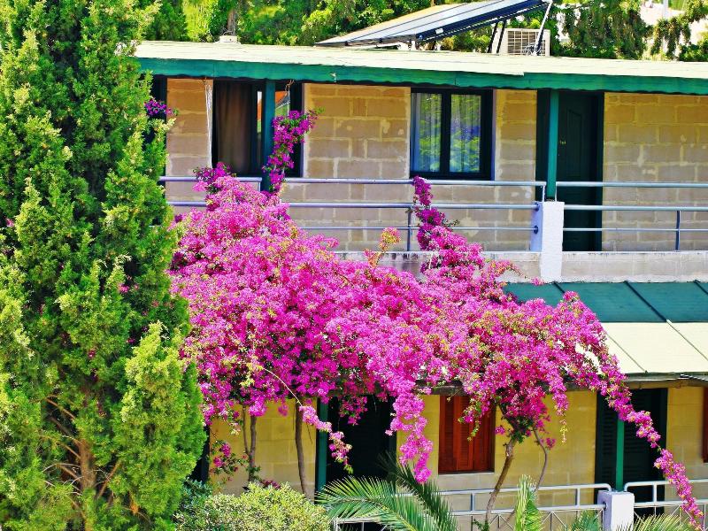 Hotel Bleu Nuit Bodrum image