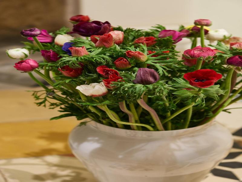 Lala Boutique Hotel Tel Aviv image