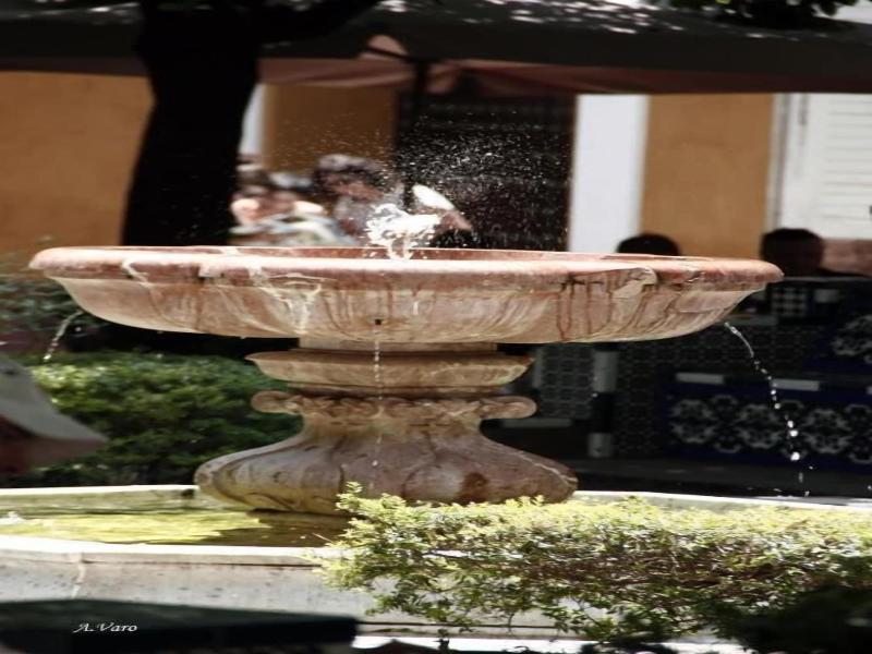 Hotel Dona Lina image