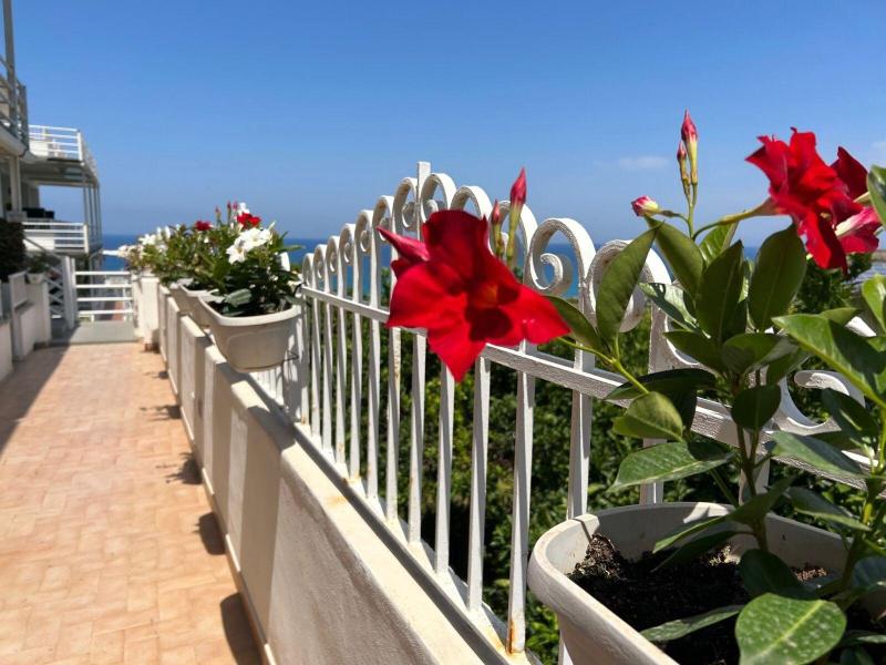 Mediterranean Boutique Hotel — general view