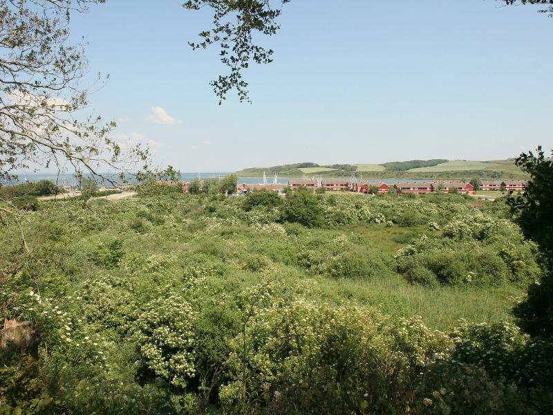 Hotelvfjorden image