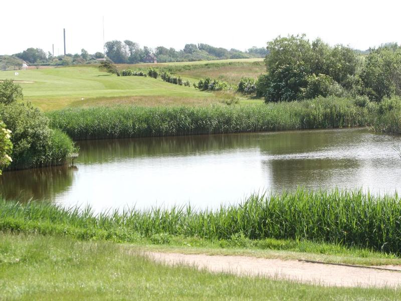 Hotelvfjorden image