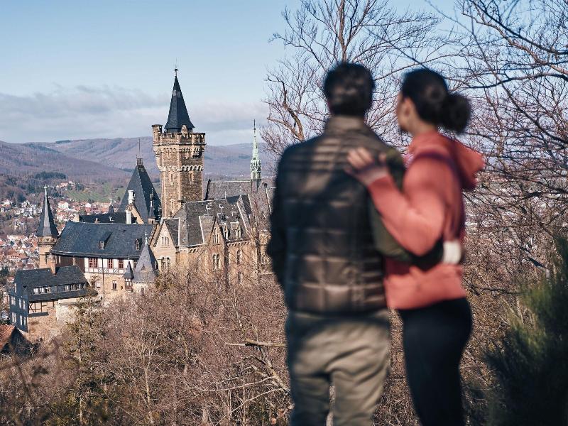 A Rosa Gothisches Haus Wernigerode image