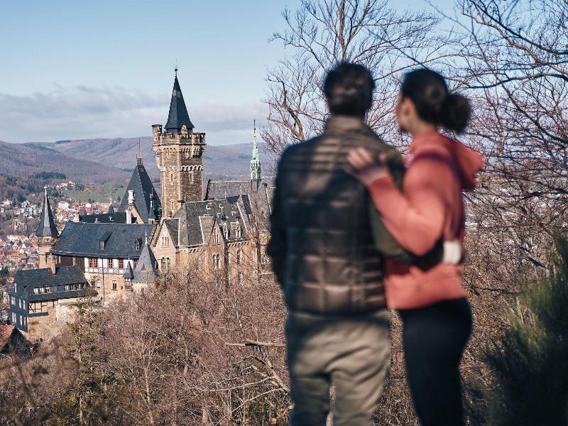 A Rosa Gothisches Haus Wernigerode image
