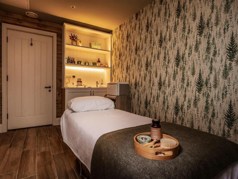 The Swan Hotel And Spa image