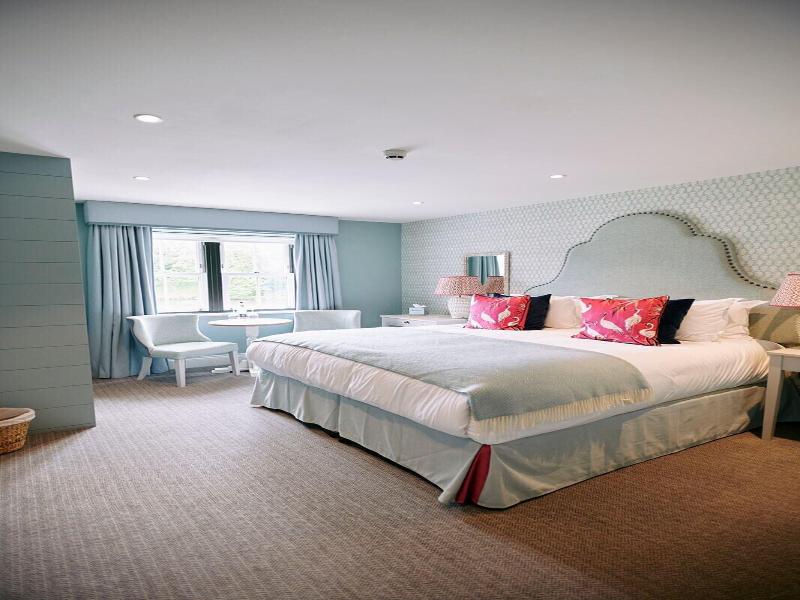 The Swan Hotel And Spa image