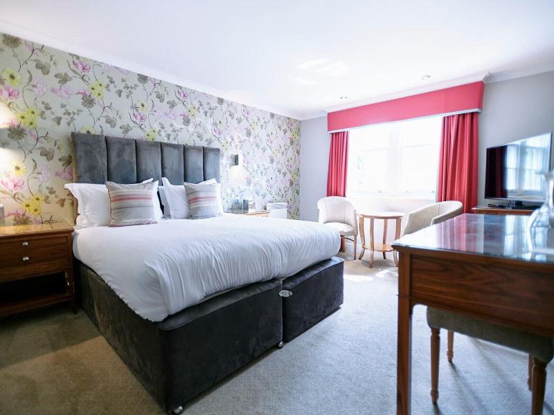 The Swan Hotel And Spa image