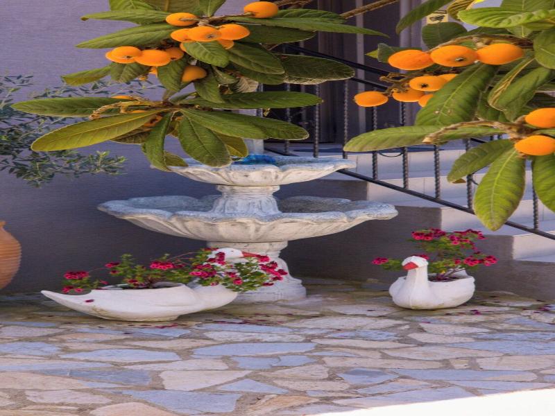 Kalpazo Kaja Vila Garden image