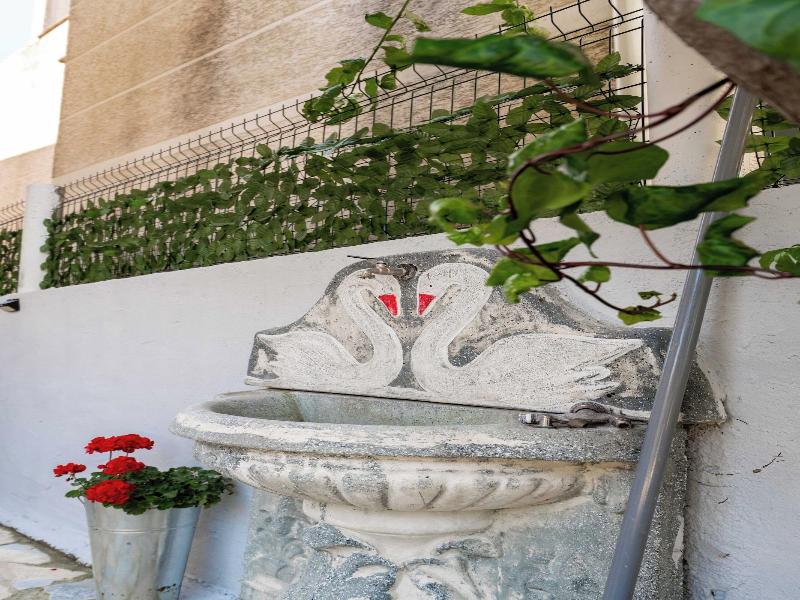 Kalpazo Kaja Vila Garden image