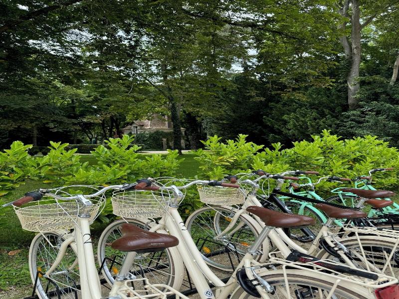 Domaine Du Chesney image