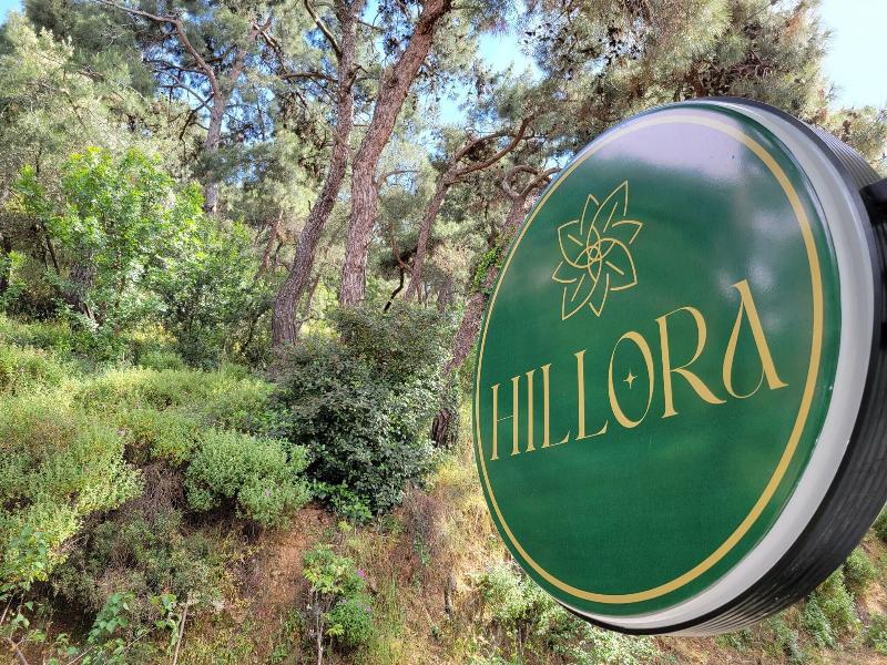 Hillora Buyukada image