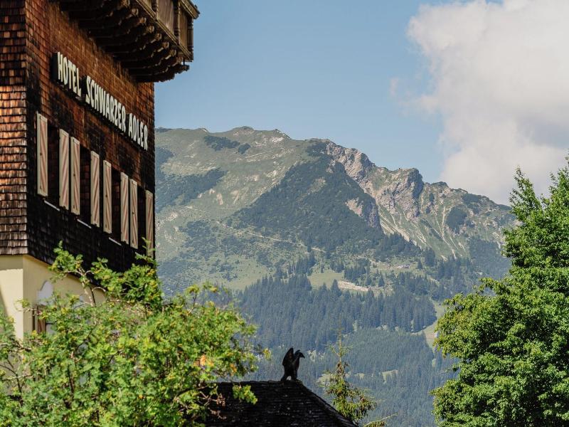 Hotel Schwarzer Adler image