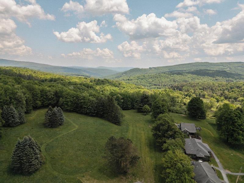 Hemlock Neversink image