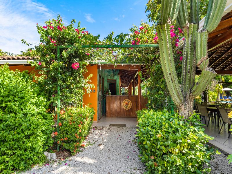 Bahia Esmeralda image