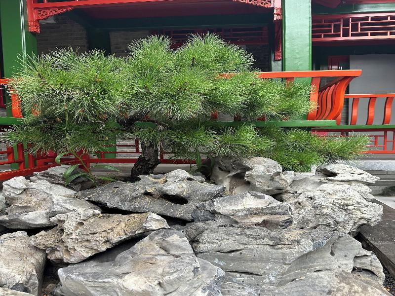 Xinxiangyayuan Courtyard image