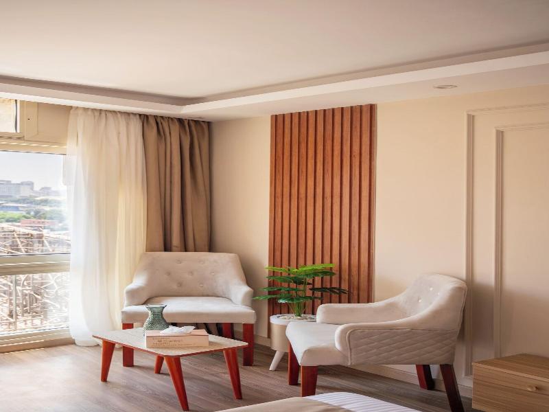 Museum And Nile View Hotel image
