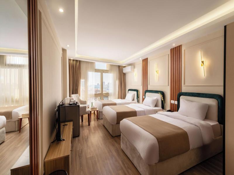 Museum And Nile View Hotel image