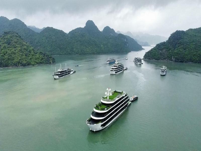 Venus Cruises Halong Bay By Venus Group image