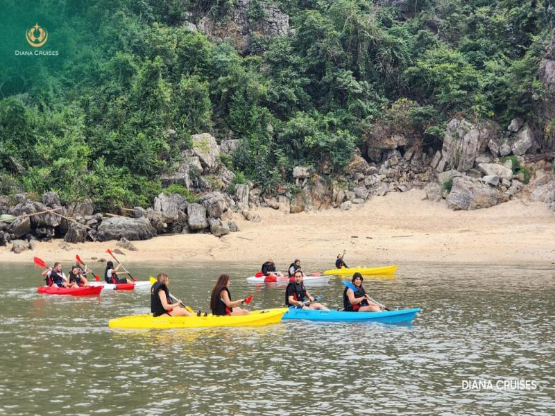 Venus Cruises Halong Bay By Venus Group image