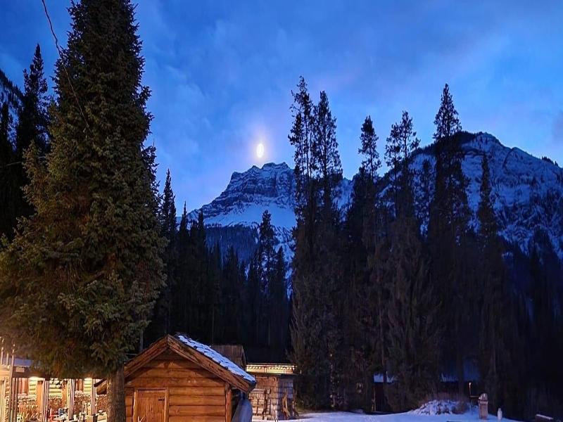 Grizzly Lodge
