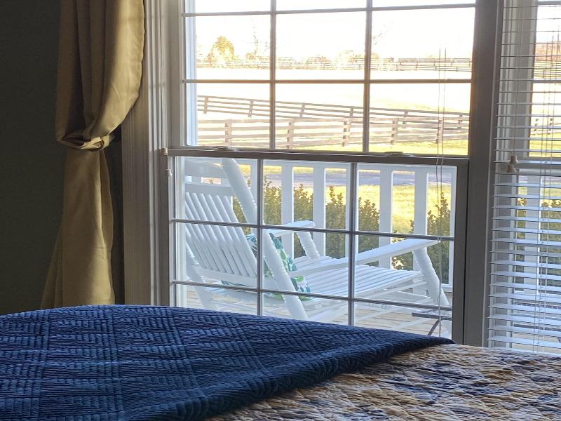 Pillow And Paddock B B