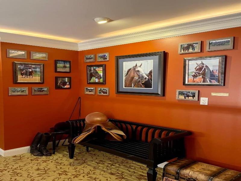 Pillow And Paddock B B