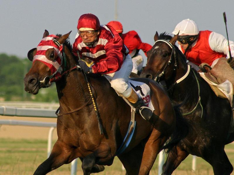 Pillow And Paddock B B