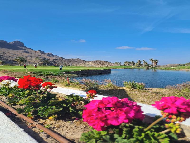 Hotel Playa Terreros image