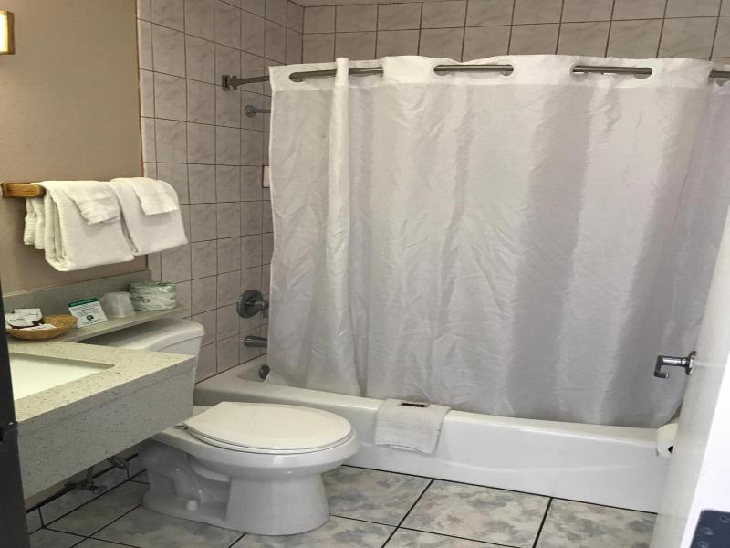 Manhattan Inn Suites Lax image