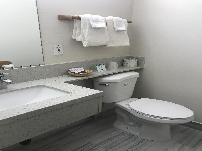 Manhattan Inn Suites Lax image