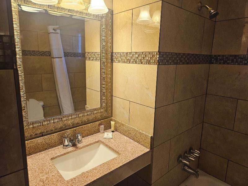 Branding Iron Motel image