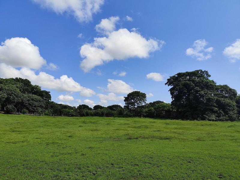 Pocri Country Resort, Pocrí