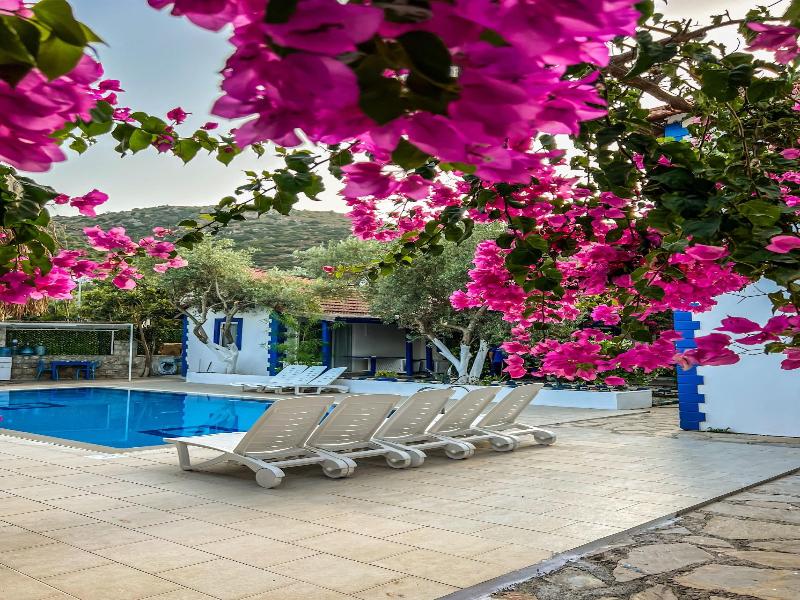 Pineloft Selimiye image