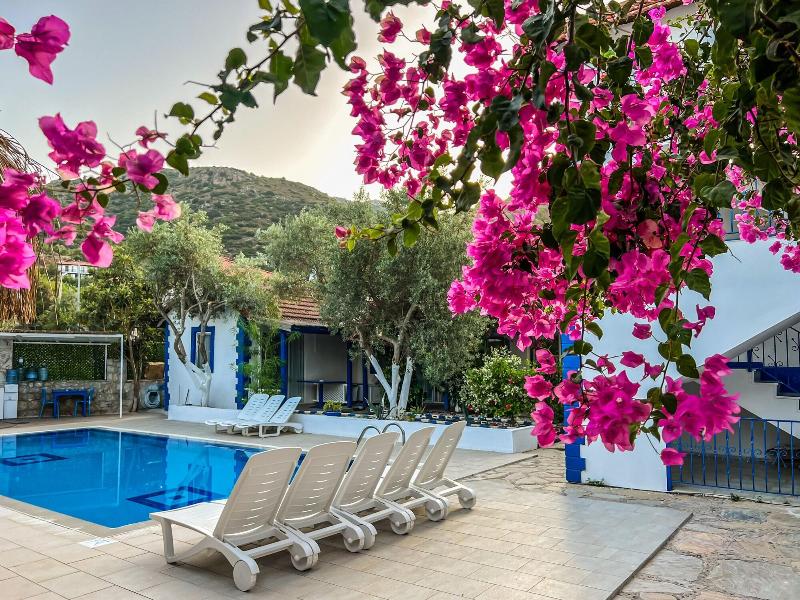 Pineloft Selimiye image