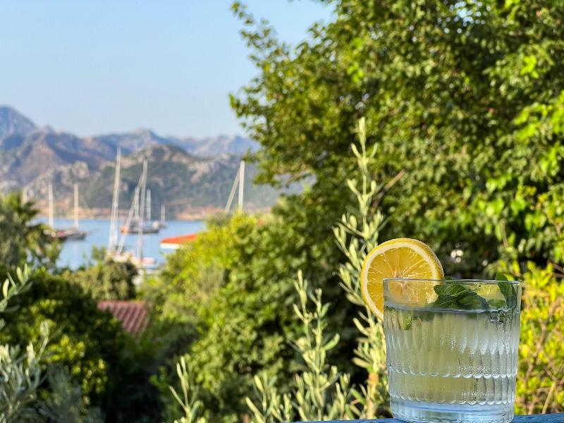 Pineloft Selimiye image