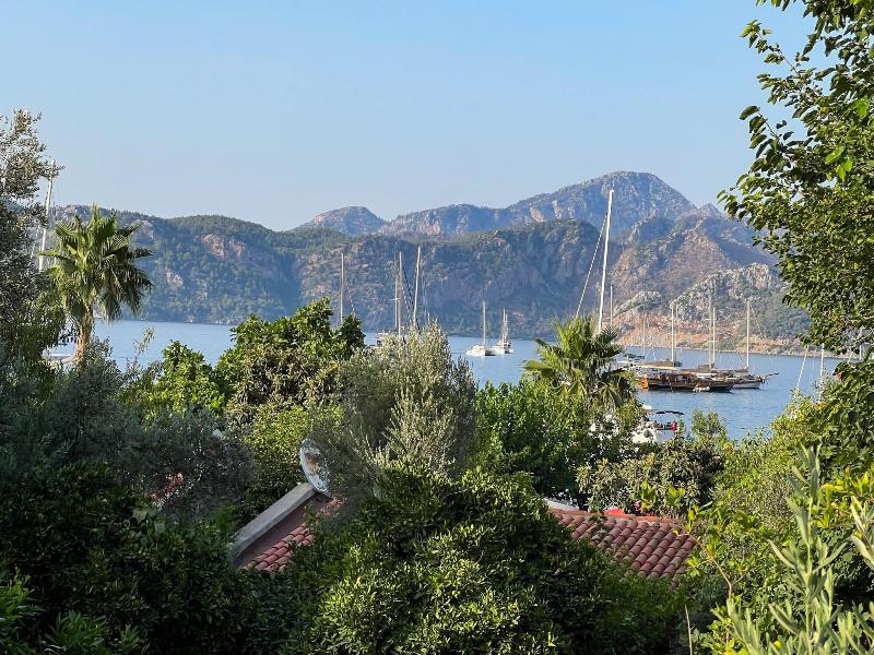 Pineloft Selimiye image